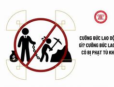 Chính Sách Cấm Lao Động Cưỡng Bức